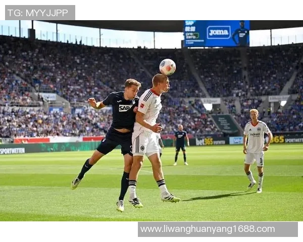 霍芬海姆主场迎战科隆期待精彩对决双方争夺宝贵积分的较量