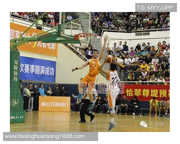 沙湾区足球比赛直播平台全方位解析与观赛指南助你畅享精彩赛事体验