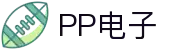 PP电子(中国)有限公司官网